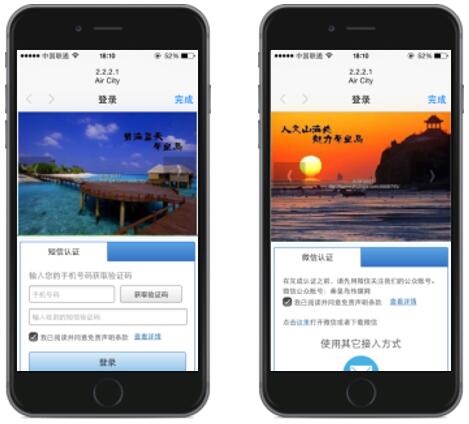 智月信息无线营销之广告投放方式解读