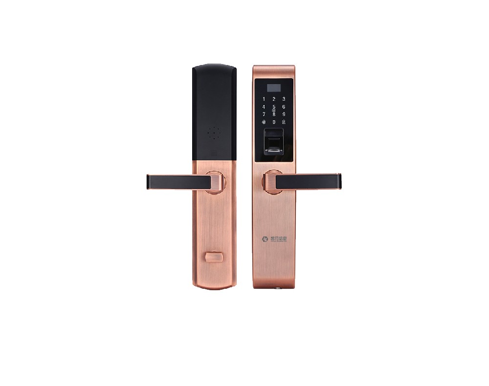 ZY-ZNMS-Z 智能门锁